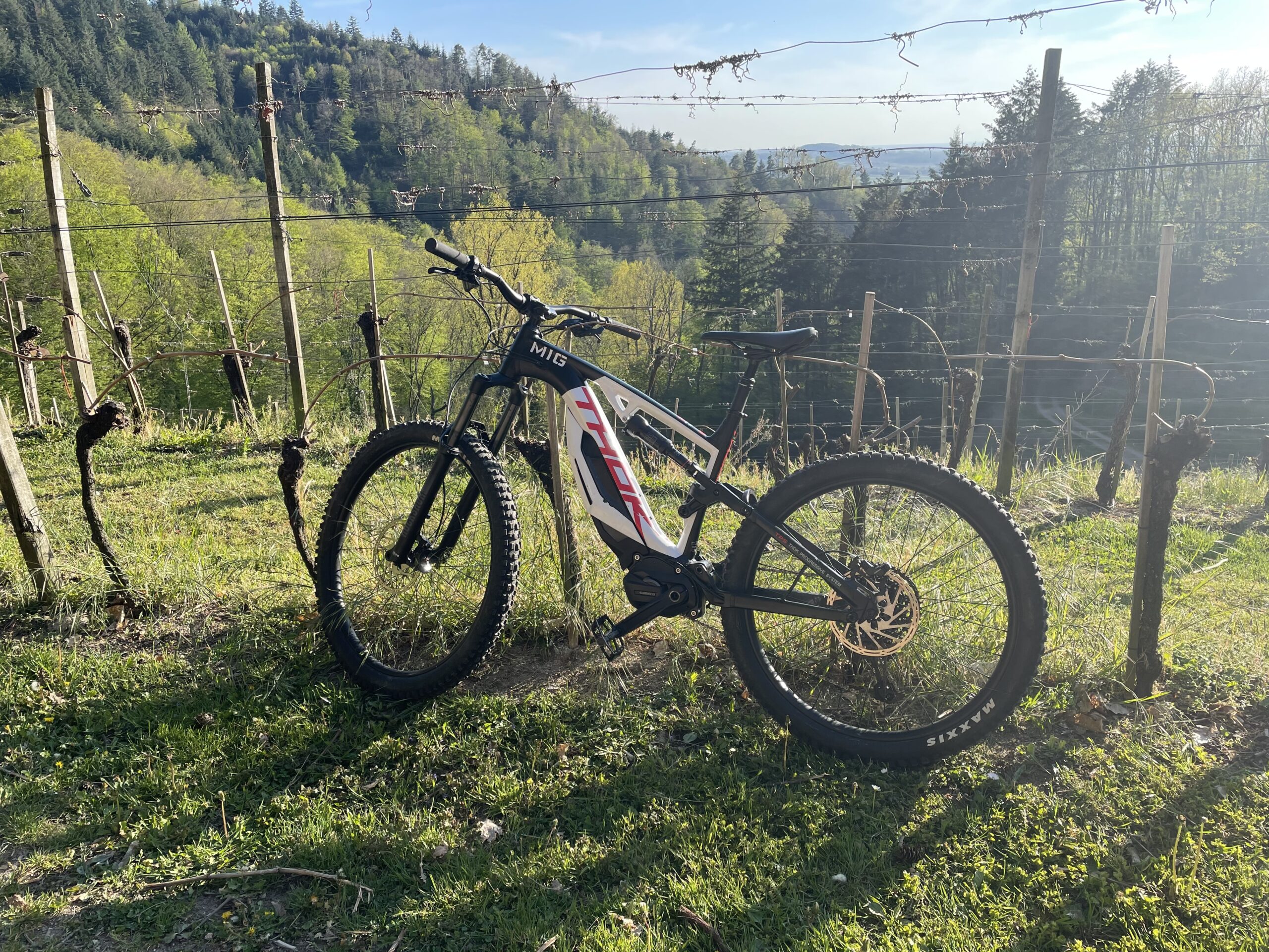 Das E-MTB Thok MIG 2.0 im Dauertest 14 E-MTB Thok MIG 2.0