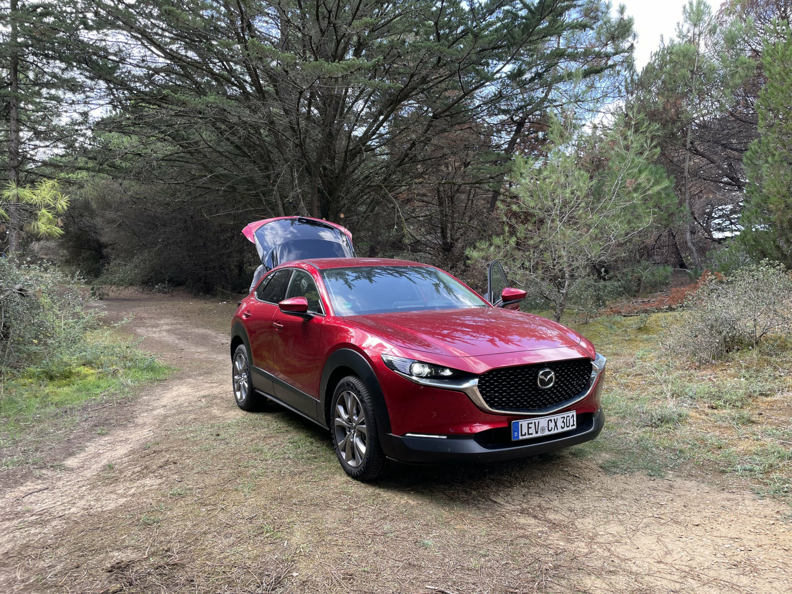 Mazda CX-30 mit Mild-Hybrid-Antrieb im Alltagstest (2022) - Empfehlenswert?  6 Mazda CX-30 mit Mild-Hybrid-Antrieb im Alltagstest (2022) - Empfehlenswert?