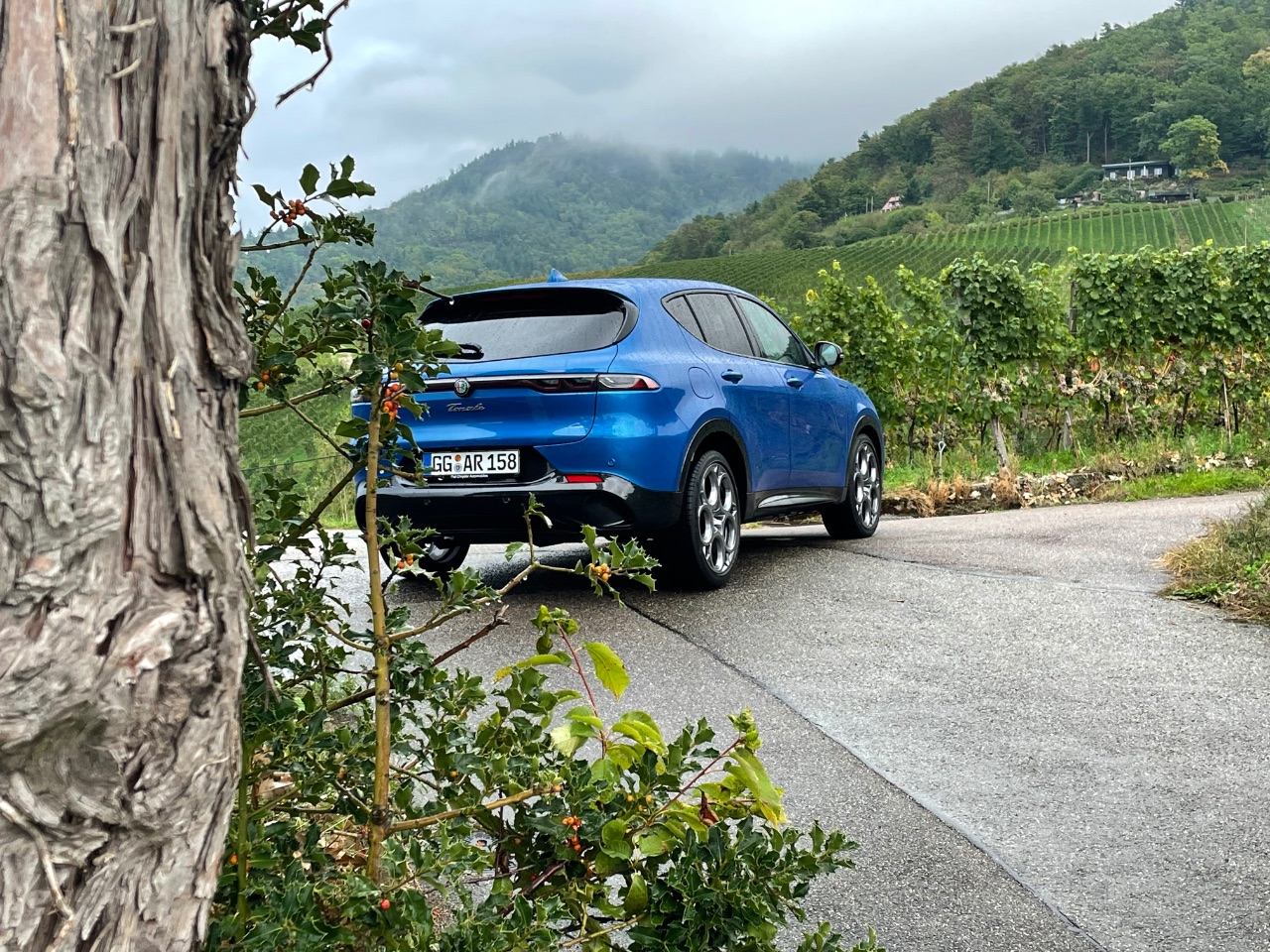 Alfa Romeo Tonale (2022) - Der Autotester steht im Regen 3 Alfa