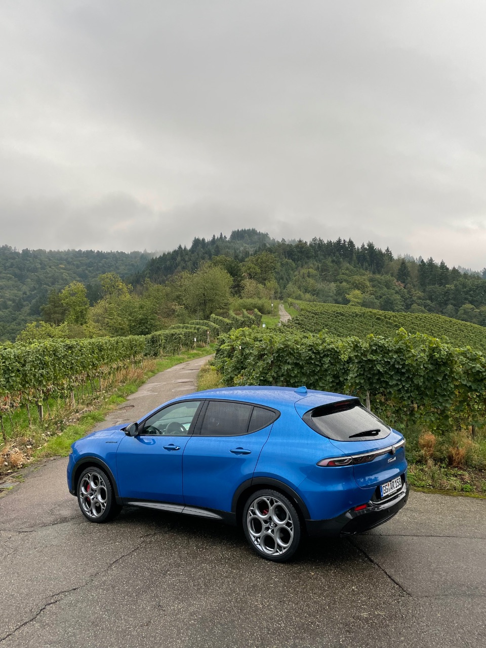 Alfa Romeo Tonale (2022) - Der Autotester steht im Regen 4 Alfa Romeo Tonale (2022) - Der Autotester steht im Regen