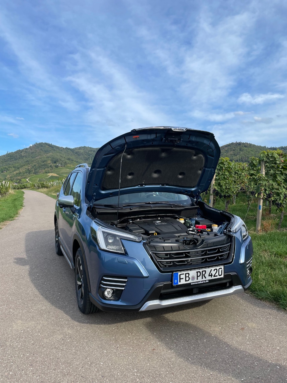 Subaru Forester 2.0ie Platinum (2022) - Nicht alle Autos müssen sportlich sein 7 Subaru Forester 2.0ie Platinum (2022) Motor